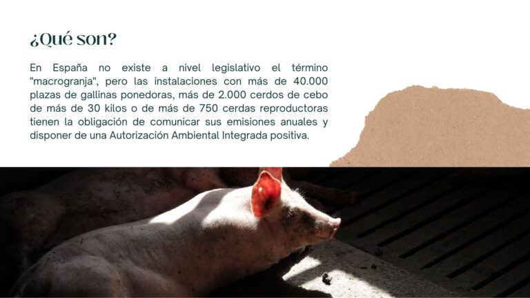 Presentación macrogranjas 2.