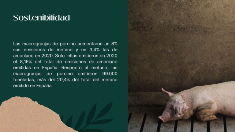 Presentación macrogranjas 3.