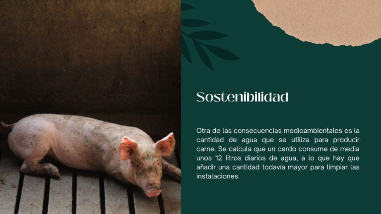 Presentación macrogranjas 4.