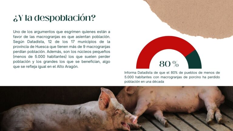 Presentación macrogranjas 5.