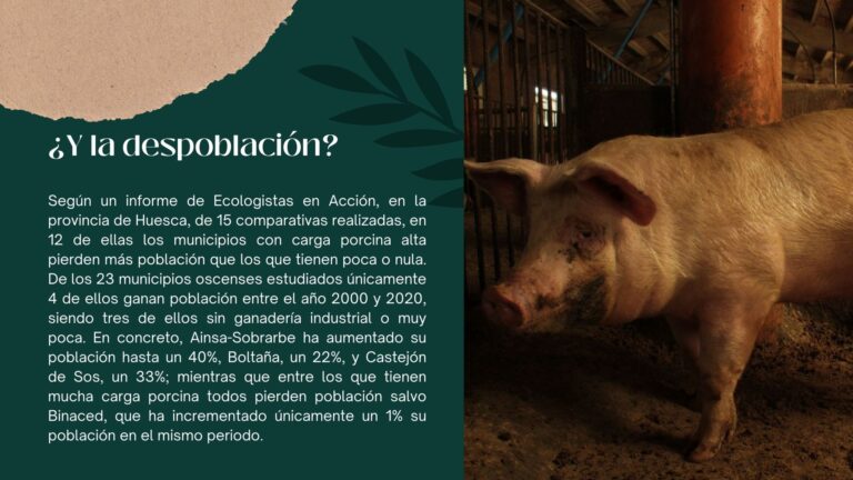 Presentación macrogranjas 6.