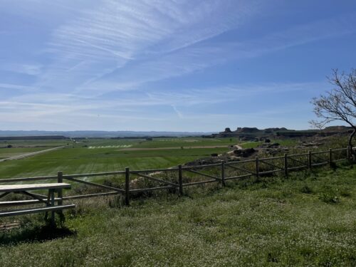 Parte de estos campos de regadío se verían afectados por la instalación de aerogeneradores.